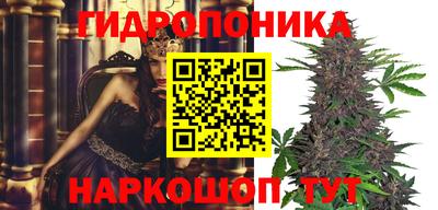 кристаллы Новодвинск